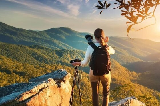 Discovery Island Kayak Tour – Copy