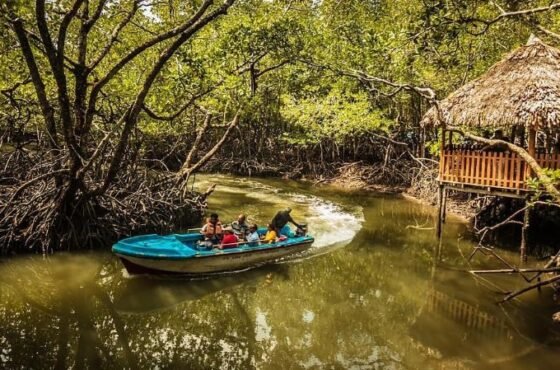 Day Trip to Baratang Island