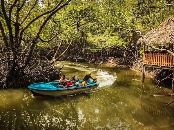 Day Trip to Baratang Island